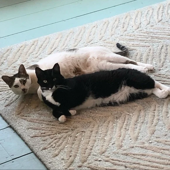 The Boys - Picture 2 of 7